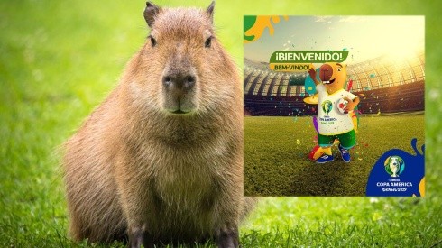 La mascota de la Copa América de Brasil 2018: un capibara.