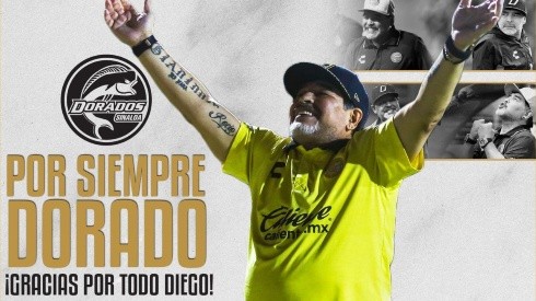 Diego no sigue como DT del Dorados.