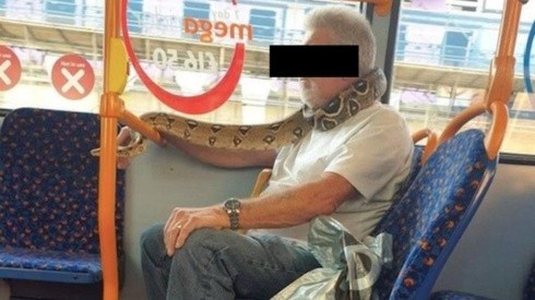 Los pasajeros del bus quedaron atónitos con el animal enrollado en el cuello del hombre.