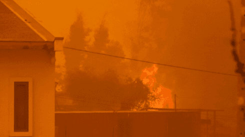 Fuerte incendio forestal afecta a Quilpué