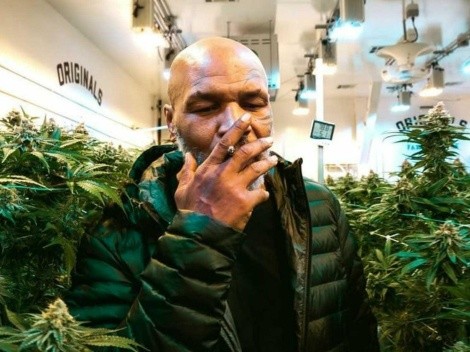 Se conoció la increíble cifra que gana Tyson vendiendo marihuana