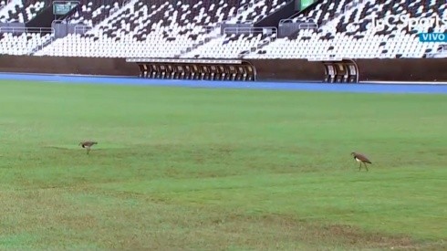 La cancha del estadio de Botafogo no luce en las mejores condiciones a cuatro días del choque entre Argentina y Chile por el Grupo B de la Copa América
