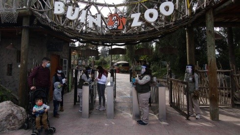 ¿Cómo apadrinar un animal del Buin Zoo?