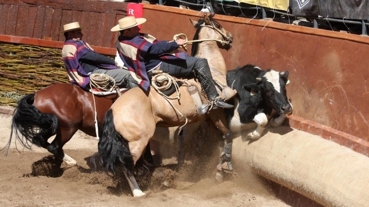 El Champion de Chile es el principal evento anual del rodeo nacional