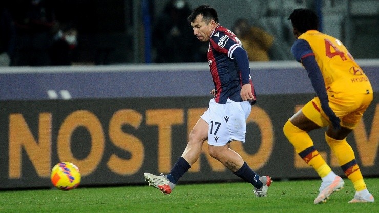 Gary Medel Pitbull chilenos por el mundo serie a calcio italia futbol italiano bologna