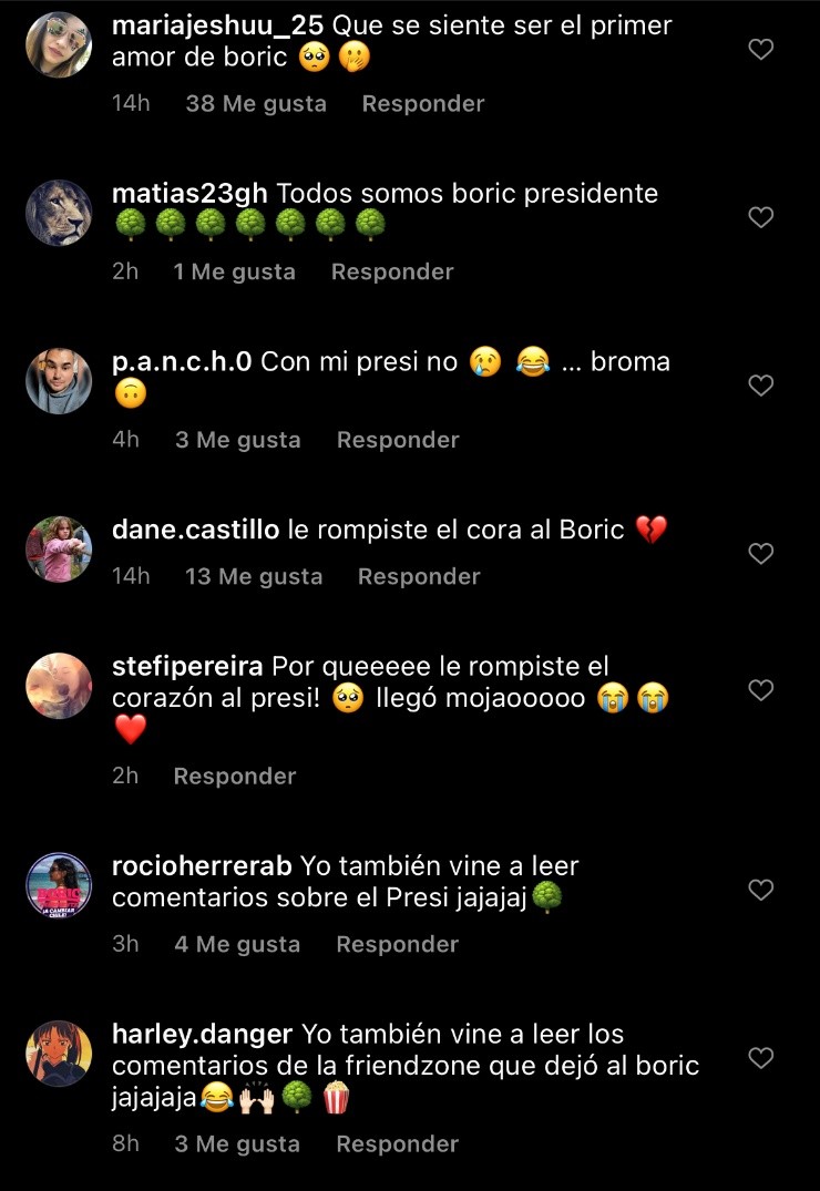 Usuarios le piden explicaciones a Ballarin por romperle el corazón a Boric.(4)