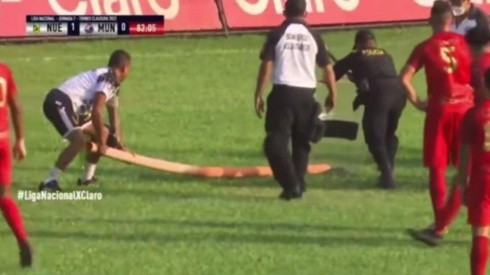 Jugadores y personal del estadio intentan capturar a la serpiente