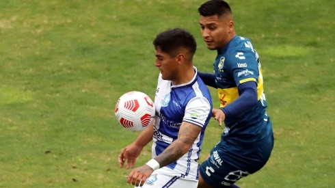 Deportes Antofagasta vs Everton: Fecha 14