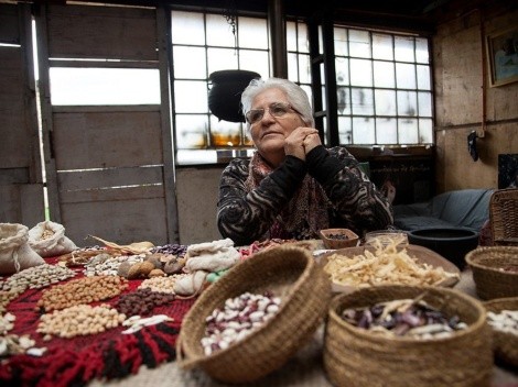 Zunilda Lepín: preservadora de las semillas nativas