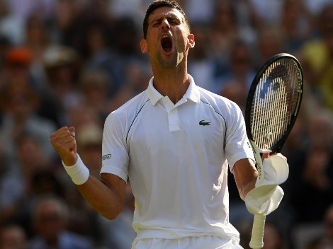 Djokovic despierta a tiempo y jugará la gran final de Wimbledon