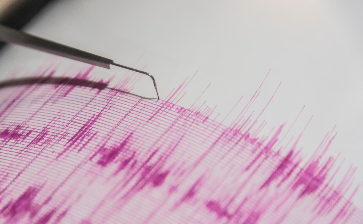 ¿Cómo puedo saber en vivo la magnitud de un sismo en Chile?  Terremoto en Chile |  terremotos |  Sismología