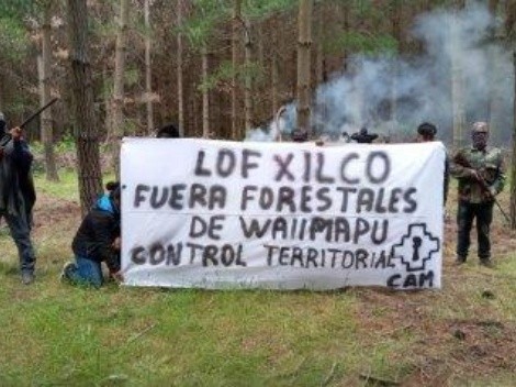 Dos empresarios forestales y otros diez delincuentes quedaron detenidos por robo de madera