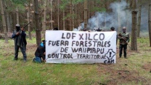 Dos empresarios forestales y otros diez delincuentes quedaron detenidos por robo de madera