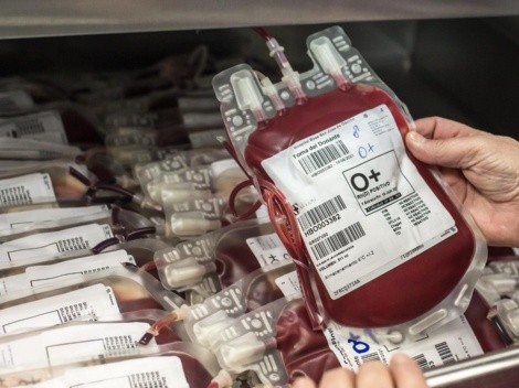 Científicos realizan exitosa transfusión de sangre cultivada en laboratorio