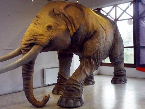 Hallan restos en Chile de elefantes de hace más de 12.000 años