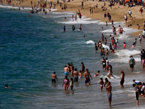 ¿Cuál es la playa chilena que prohíbe el ingreso de mascotas?