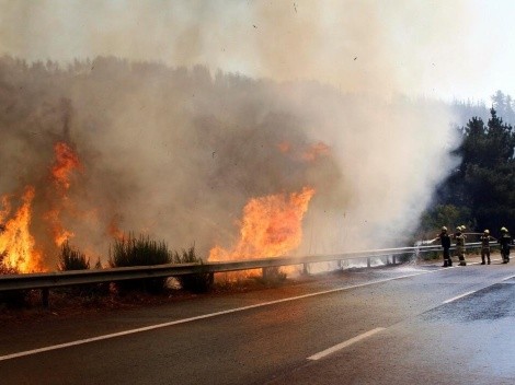 ¿Cuántos y dónde hay incendios forestales activos en Chile?