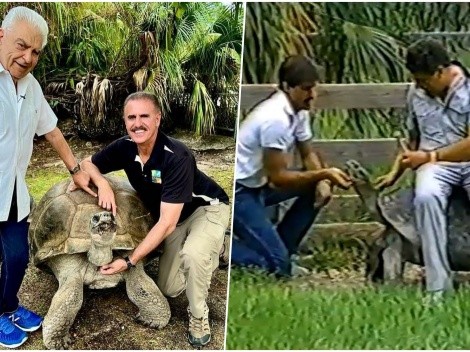 Don Francisco se reencuentra con una tortuga que conoció hace 30 años