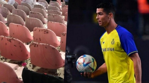 Invasión de langostas en el partido de Cristiano Ronaldo