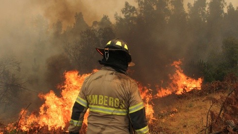 Persisten los incendios forestales