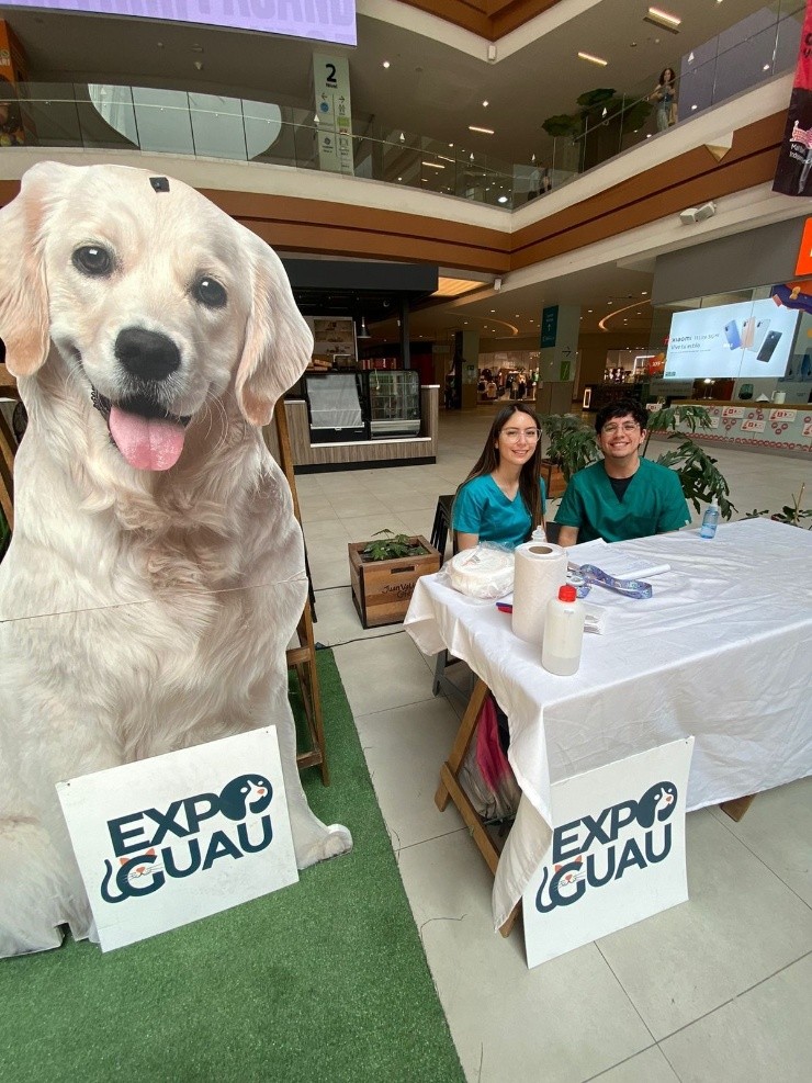 Operativo veterinario