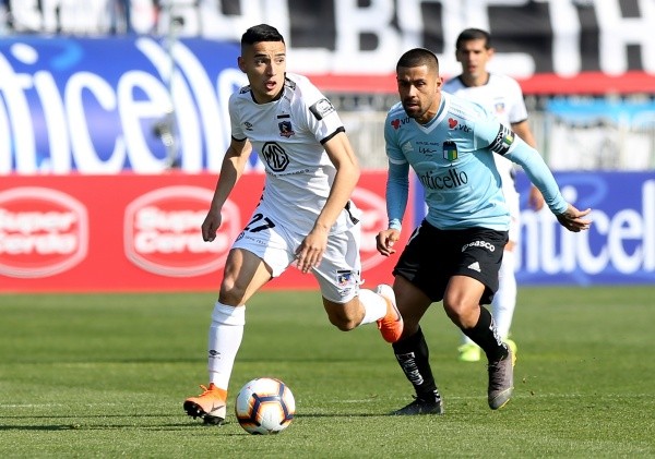 Branco Provoste / Volante