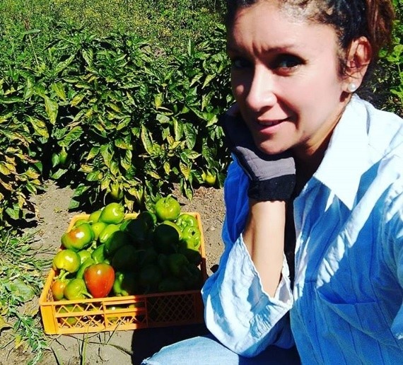 Angélica Sepúlveda cosechando los productos de su pyme