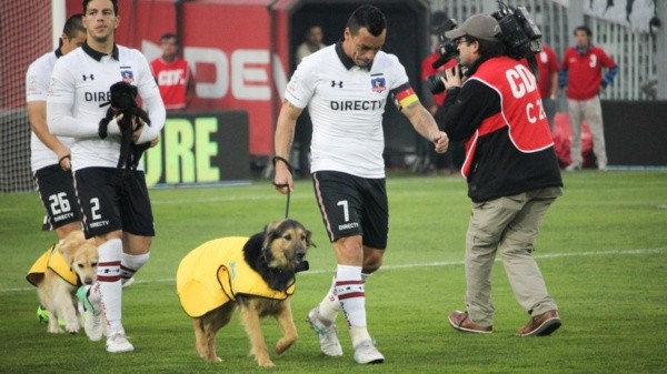 Capitán junto a su &quot;colega&quot; Esteban Paredes en un partido ante Antofagasta en 2017. En la ocasión, los jugadores de Colo Colo entraron al campo con perros en adopción, fomentando esta campaña de UAA. Foto: Guille Salazar