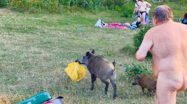 El hombre pudo dar con el jabalí.