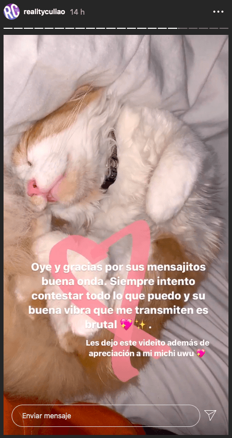 El gato uwu de @realitycul***.