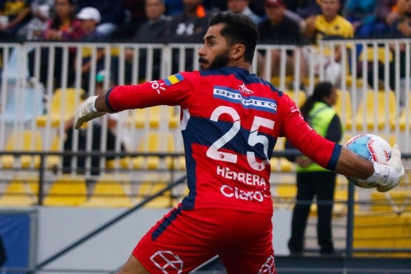 Herrera cree que el Zanahoria Pérez merece una chance en La Roja.