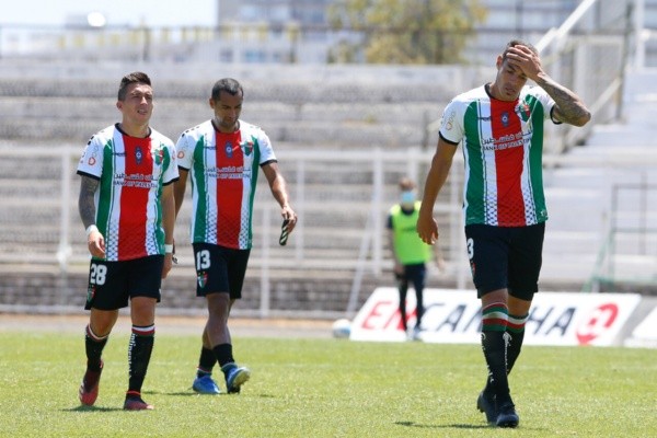 Palestino