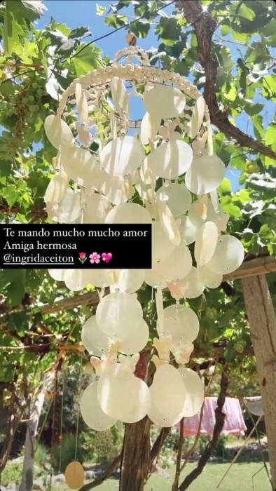 Mensaje de Camila Recabarren a Ingrid Aceitón