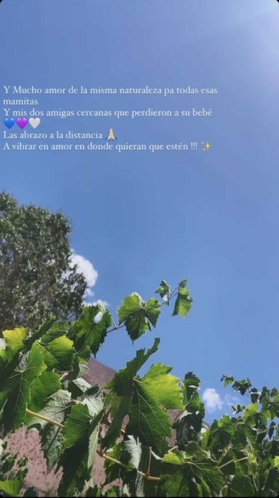 Mensaje de Camila Recabarren a Ingrid Aceitón