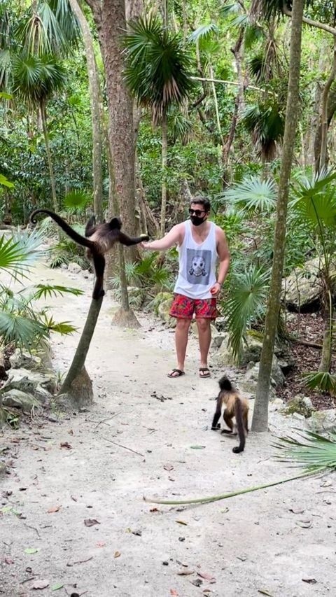 Nano Calderón con monos en sus vacaciones en México Nano Calderón con monos en sus vacaciones en México