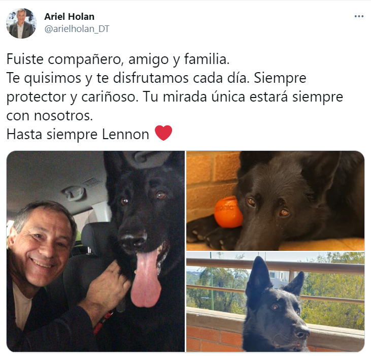 Publicación de Ariel Holan para su perrito