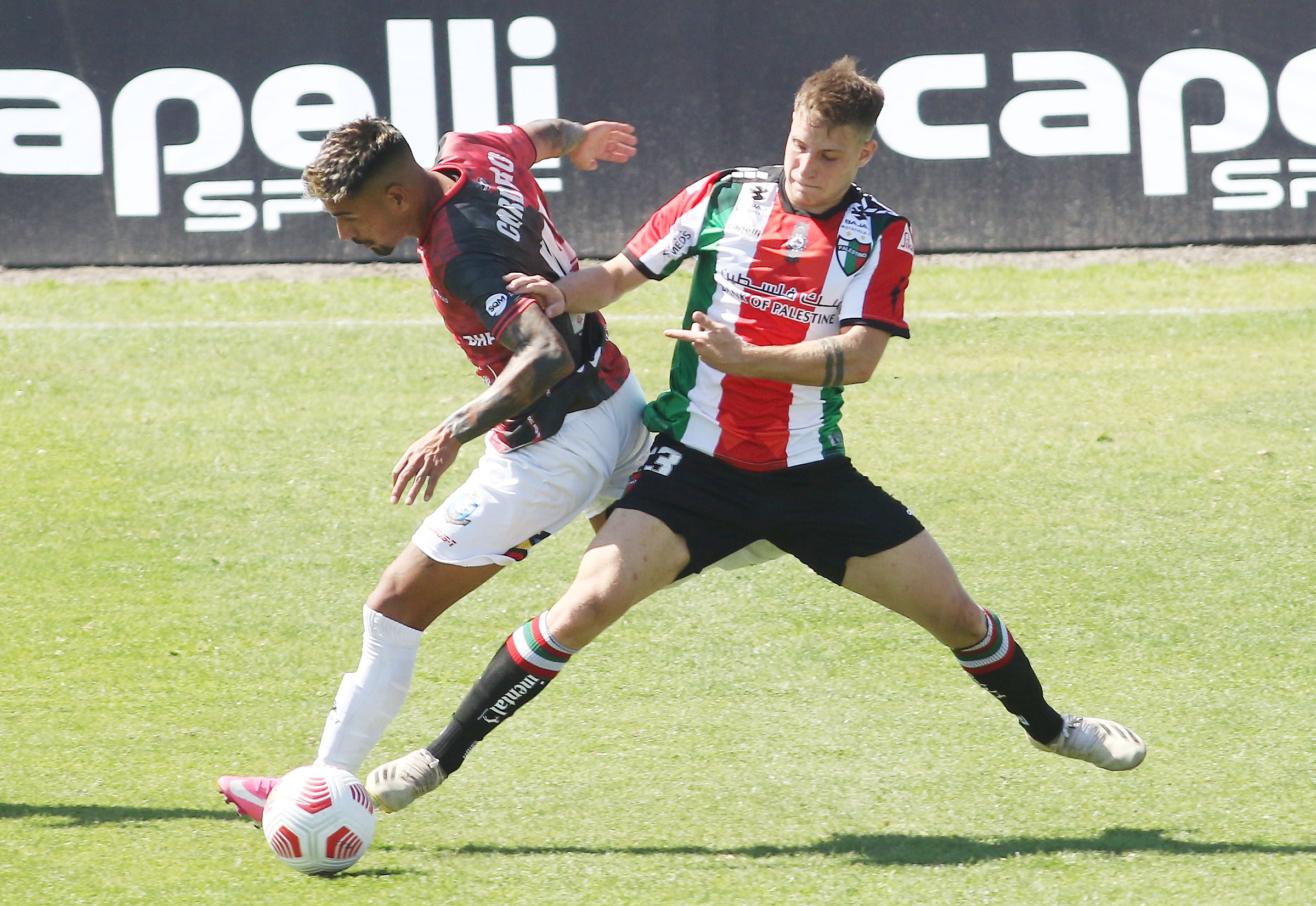 Bruno Barticciotto