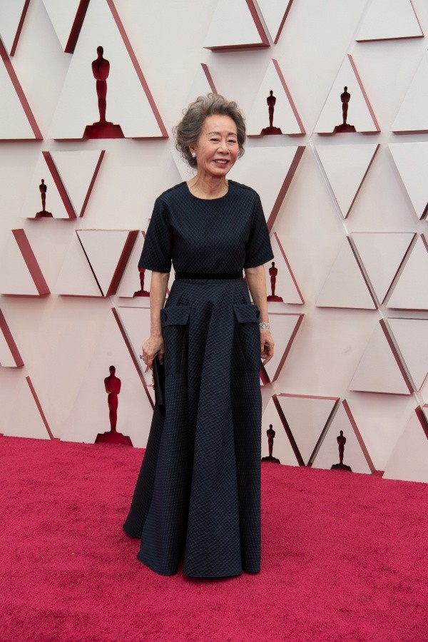 Looks alfombra roja de los Oscar 2021.(18)