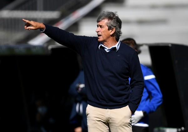 Pellegrini