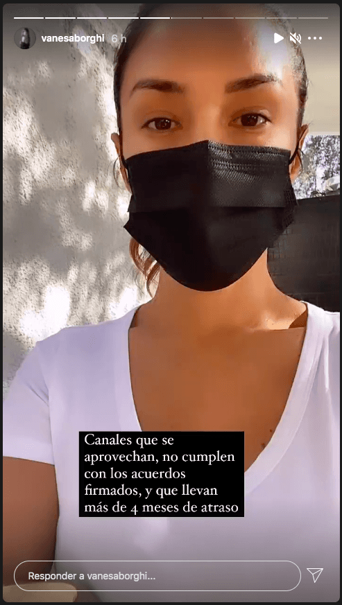 Vanesa Borghi en su descargo por medio de sus historias de Instagram.(1)