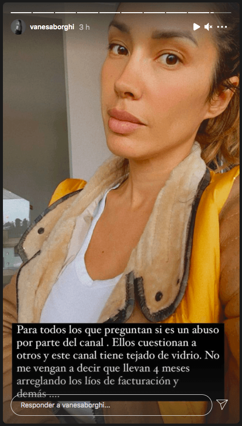 Vanesa Borghi en su descargo por medio de sus historias de Instagram.(3)