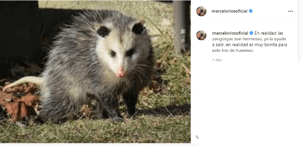 Marcelo Ríos en Instagram