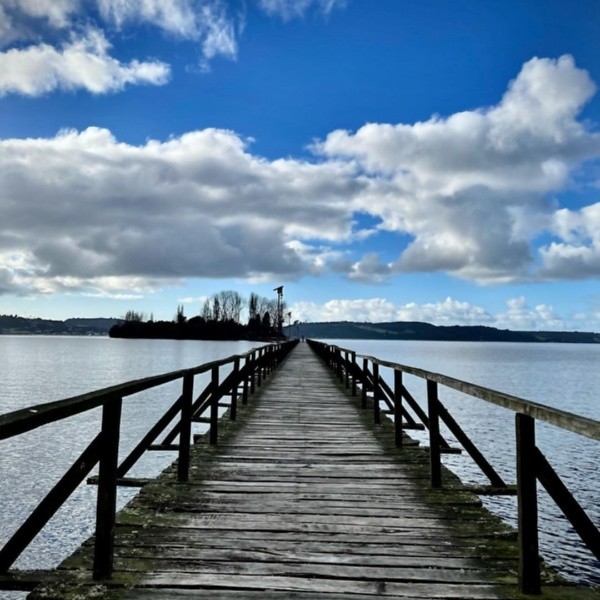 Las postales de Karim Butte en Chiloé.(2)