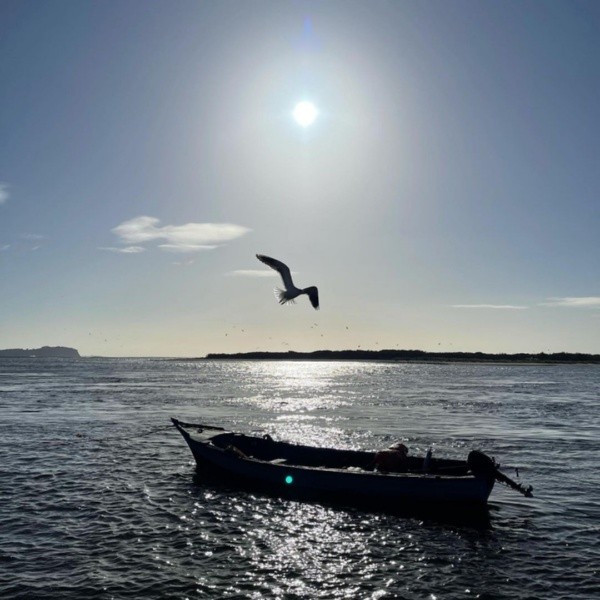 Las postales de Karim Butte en Chiloé.(3)