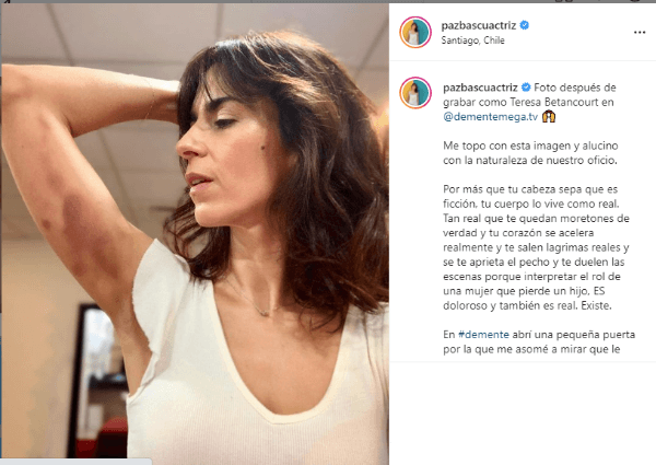 Paz Bascuñán instagram