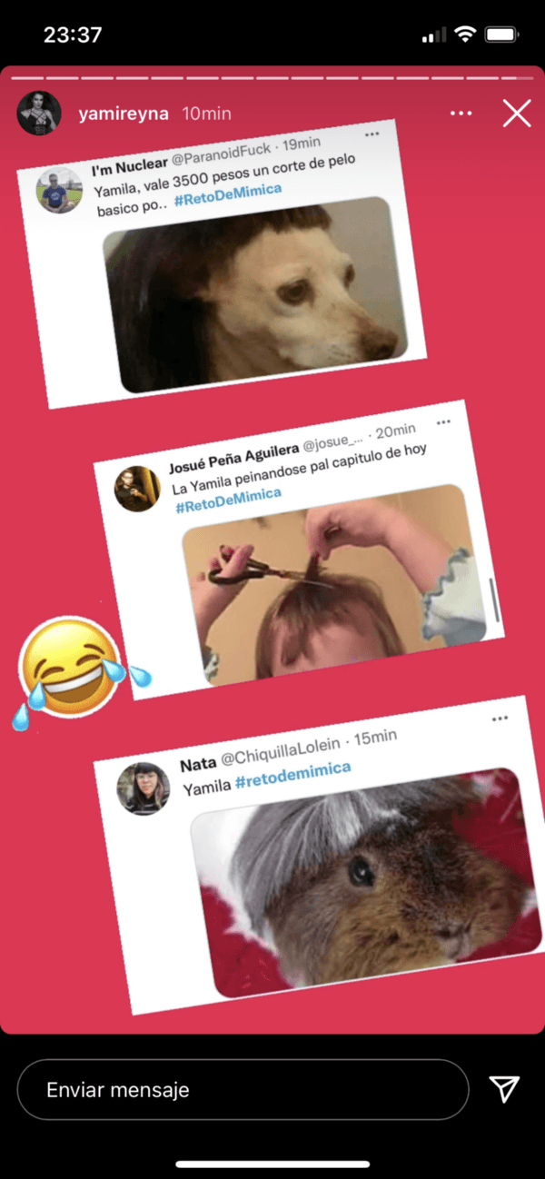 Algunas de las publicaciones que le causaron gracia a Yamila Reyna y las compartió en sus historias de Instagram.