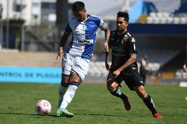 Los Pumas hundieron más aún a Palestino en la tabla.