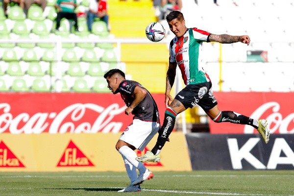 Palestino no logró clasificar a torneos internacionales el 2021. Foto: Agencia Uno.