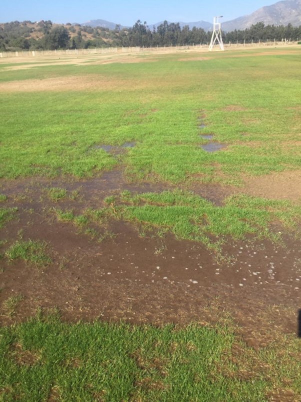 FOTO: Unión La Calera.