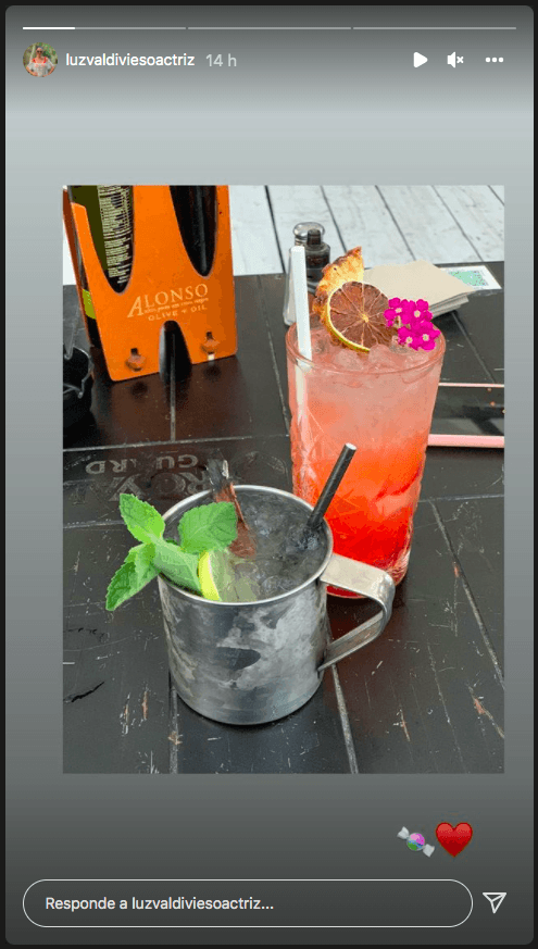 Valdivieso y Castellón comparten sus primeras muestras de amor.(1)